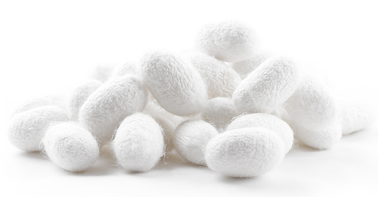 シルクは人の肌に似ている