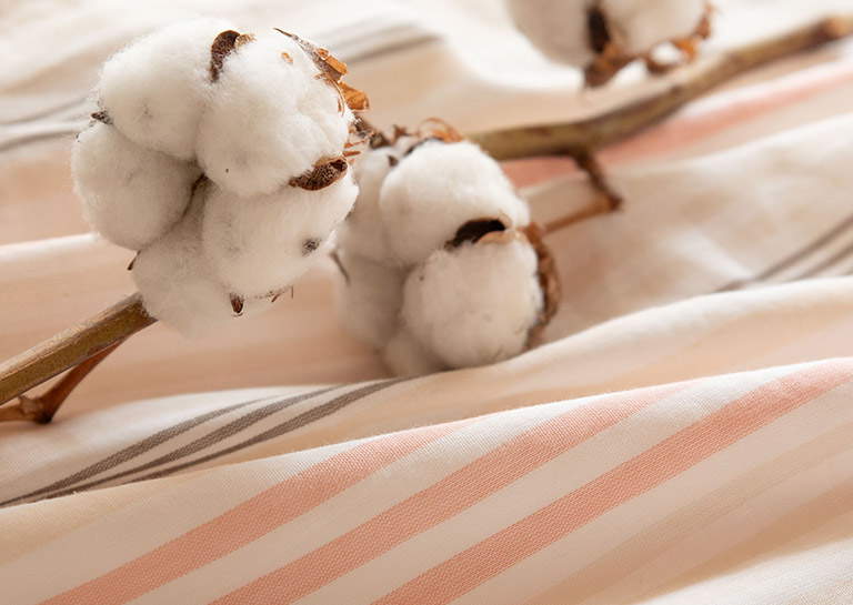 綿100％のパジャマとルームウェア