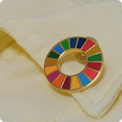 SDGs 私たちの目標