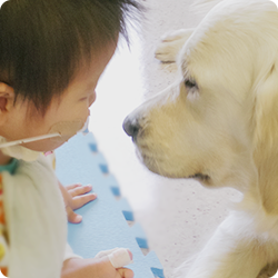 シャイン・オン!キッズ チャリティー