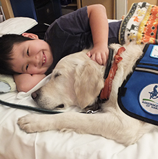 ファシリティドッグ