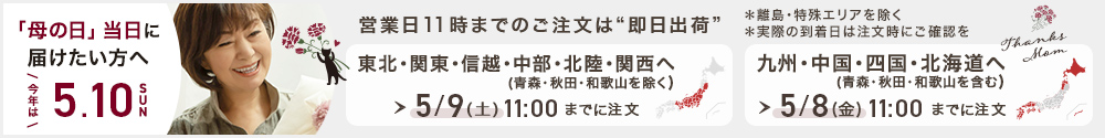 母の日当日お届け注文締め切り案内