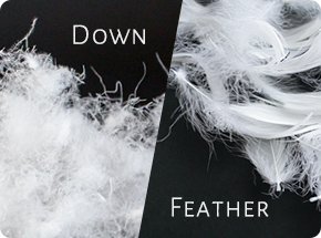 ダウンとフェザーの「黄金比率」