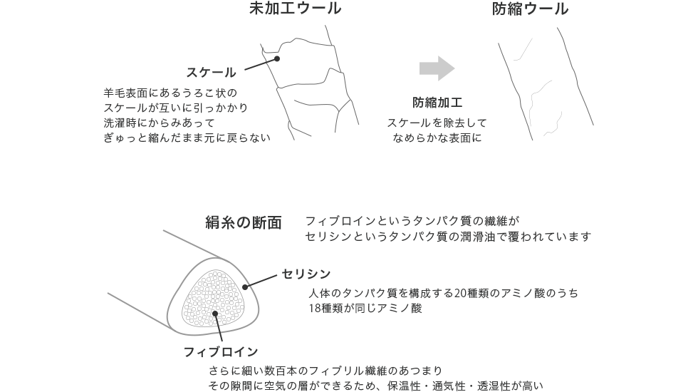ウールの防縮加工と絹糸の秘密