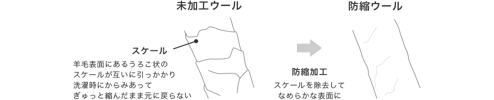 防縮ウールとは