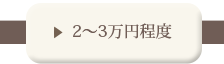2～3万円以上