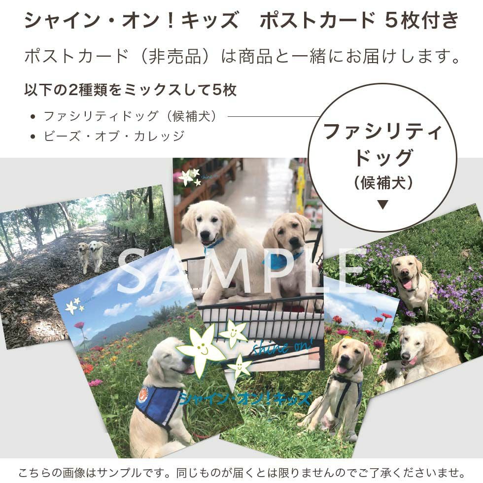 チャリティー 上質羽毛のレッグウォーマー ユニセックス ポストカード